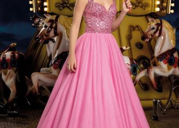 WhatsApp Image 2025-12-29 at 13.18.55 (2)